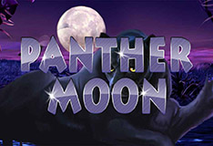 Panther Moon