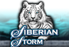 Siberian Storm  logo