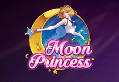 Moon Princess  logo